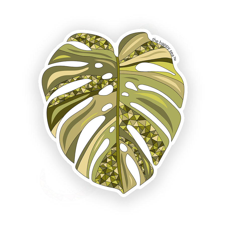 3.5" Monstera Vinyl Sticker