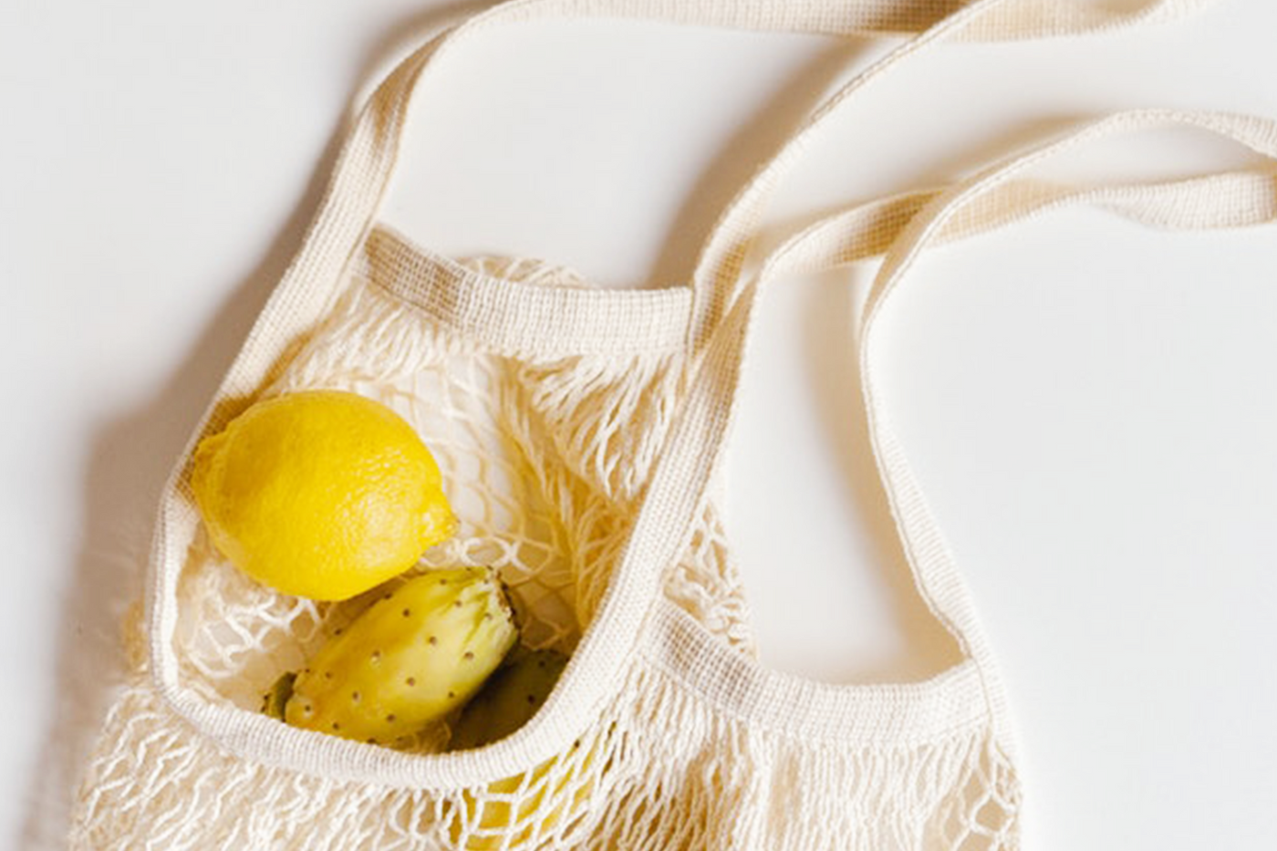 Coast Lightly: Living An Environmentally Friendly Lifestyle