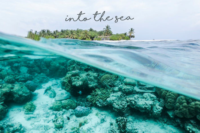 Spotify Playlist: Into The Sea