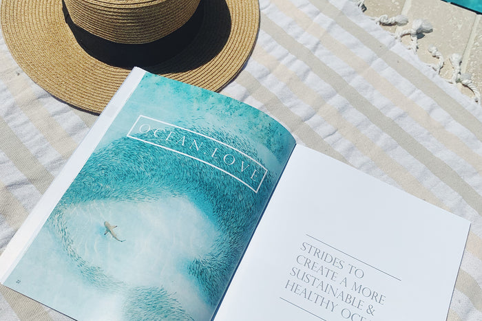 Amelia Islander: Creating A Happy Sea