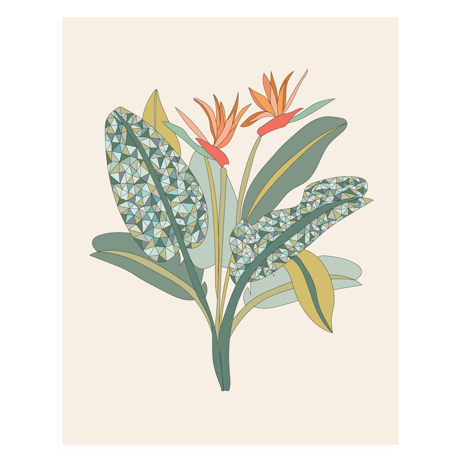 Birds Of Paradise, 11x14 Art Print