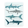 4" Shark ID Vinyl Sticker