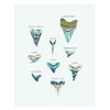 Sharktooth ID, 11x14 Art Print