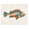 Topographic Fish, 11x14 Art Print